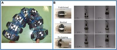 Actuation and design innovations in earthworm-inspired soft robots: A review
